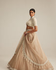 Light Beige High Neck Organza Mirror And Pearl Lehenga Set