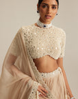 Light Beige High Neck Organza Mirror And Pearl Lehenga Set