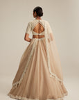 Light Beige High Neck Organza Mirror And Pearl Lehenga Set