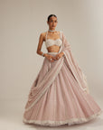 Ash Pink Linear Embroidered Organza Lehenga Set