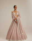 Ash Pink Pearl Mirror Linear Lehenga With V Neck Blouse