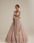 Ash Pink Pearl Mirror Linear Lehenga With V Neck Blouse