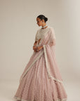 Ash Pink Pearl Drop Lehenga With High Neck Blouse