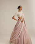 Ash Pink Pearl Drop Lehenga With High Neck Blouse