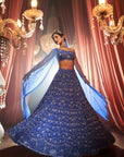 Hand Embroidered Lehenga With One Hand Sleeve And Net Dupatta