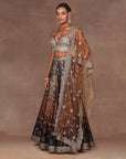 Chocolate Brown Ombre Sharara Set