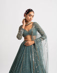Mud Green Single Tier Lehenga Set