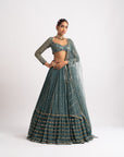 Mud Green Single Tier Lehenga Set