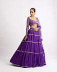 Purple Multi Tier Multi Color Lehenga Set