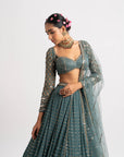 Mud Green Single Tier Lehenga Set