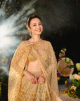Golden Reverie Lehenga Set