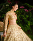 Golden Reverie Lehenga Set