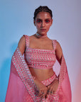 lehenga with bustier and organza dupatta