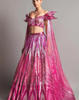 Embroidered Structured Lehenga