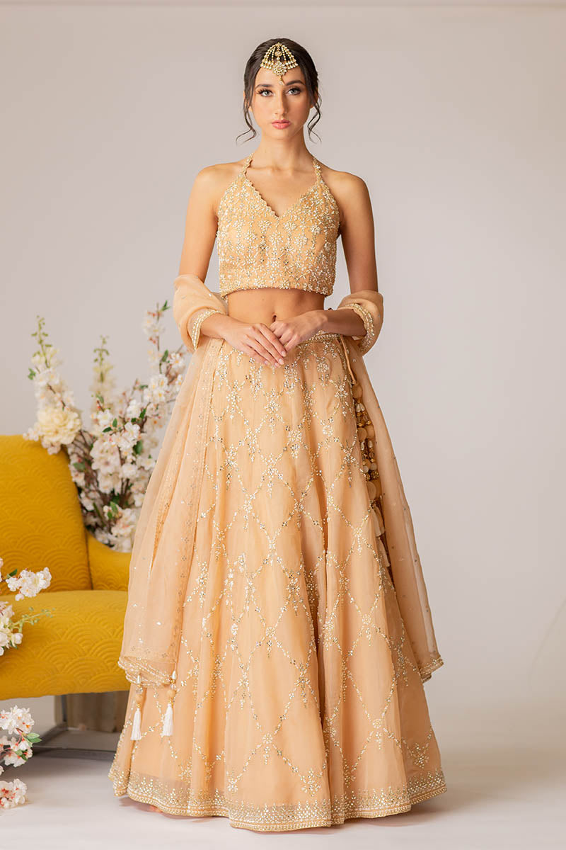 Champagne Embroidered Lehenga Set- Ready To Ship