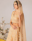 Champagne Embroidered Lehenga Set- Ready To Ship